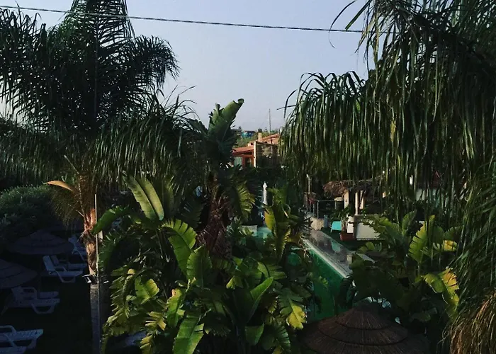 Saija Resort