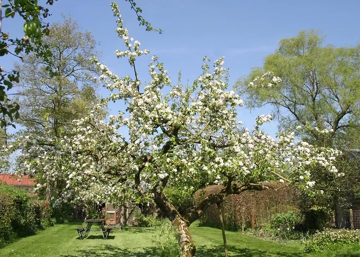 B&B De Leeghpoel