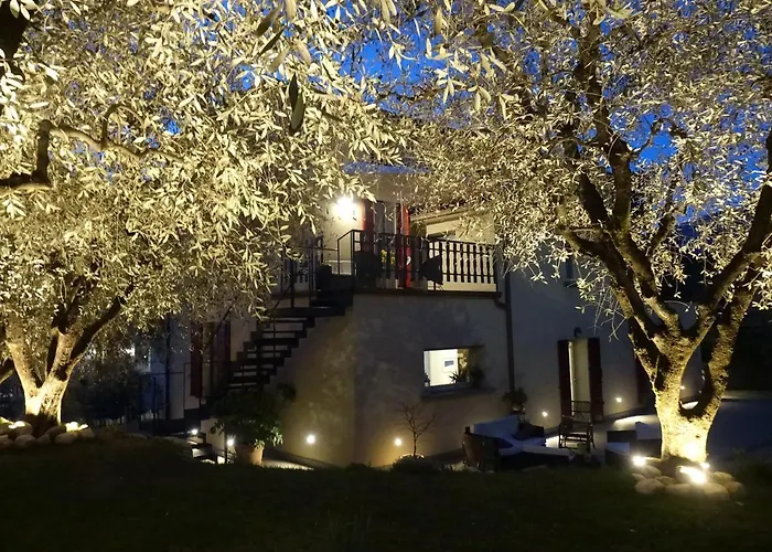 B&B Forsesiforseno