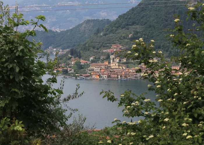 B&B Forsesiforseno
