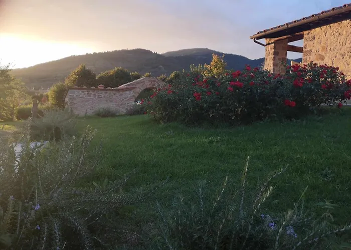 Alba Morus Bed & Breakfast, Sentiti A Casa Nel Cuore Della Toscana