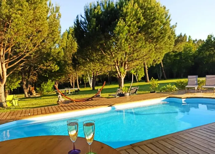 Les Pins Perdus