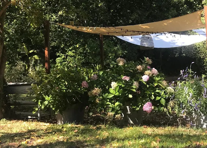 Casina Morgana B&B