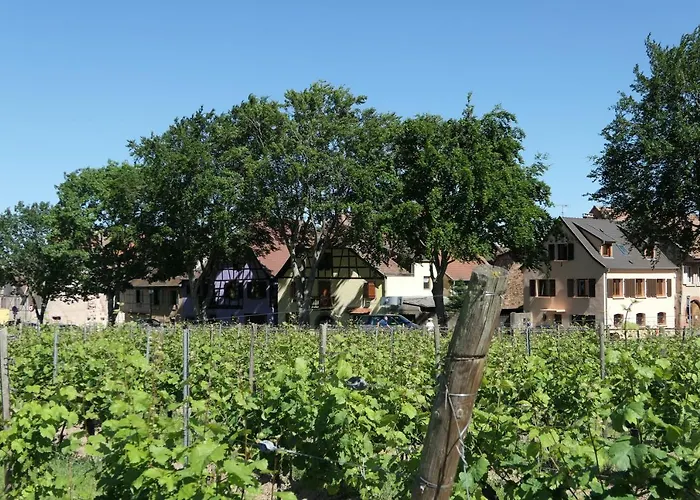 Au Petit Paradis