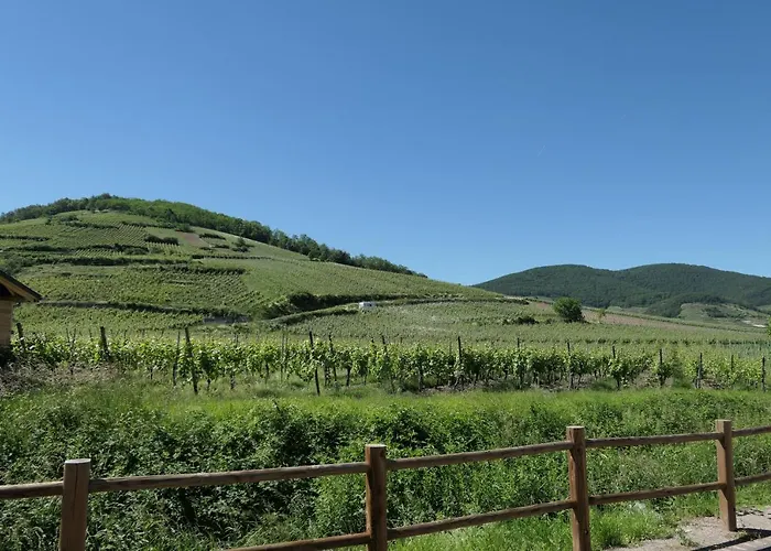 Au Petit Paradis