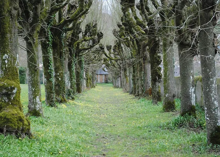 Suite Au Chateau - Domaine De La Gavolerie