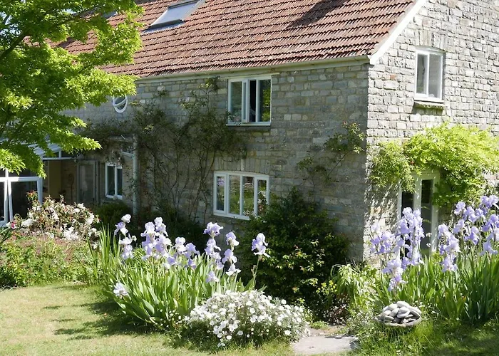 The Potting Shed, Self Contained, Detached Retreat In Shapwick Village