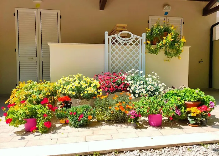 Il Gelso di Sofia B&B