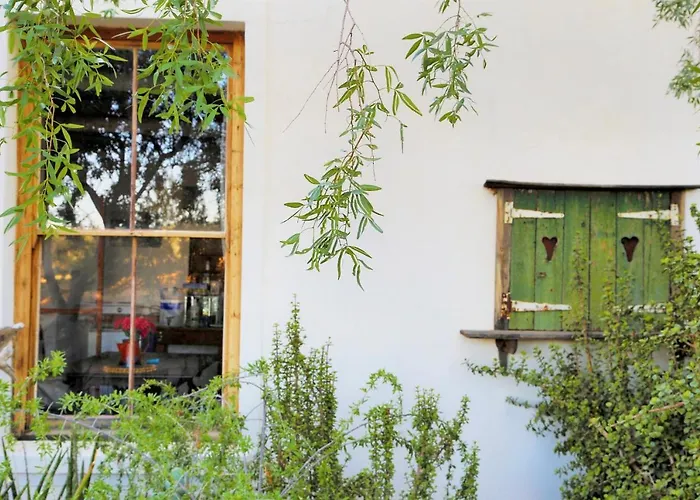 Aloe Guest House