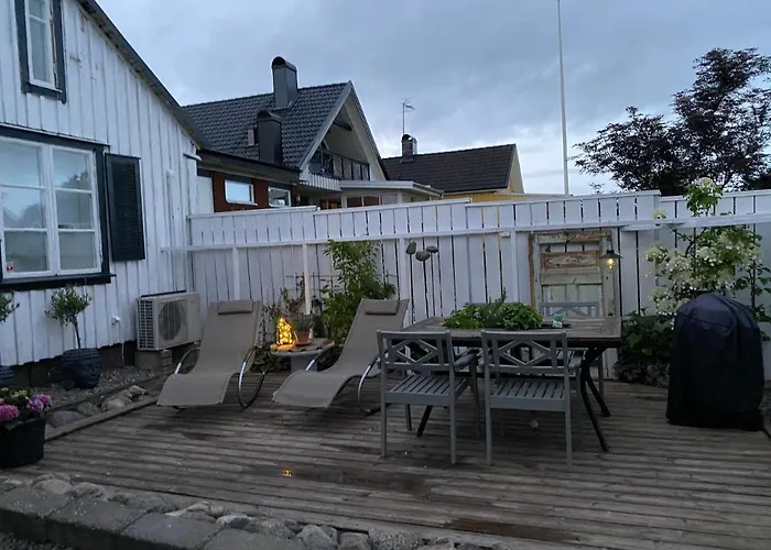 B&B Bland Ormbunkar Och Rosor
