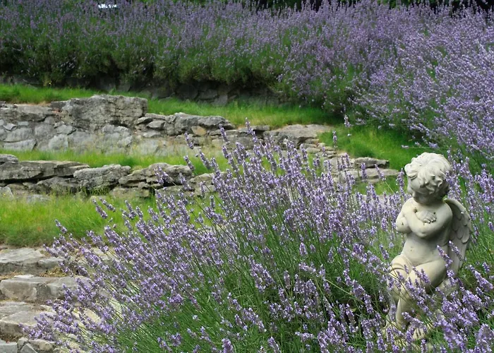 Bradleys Garden Bed And Breakfast