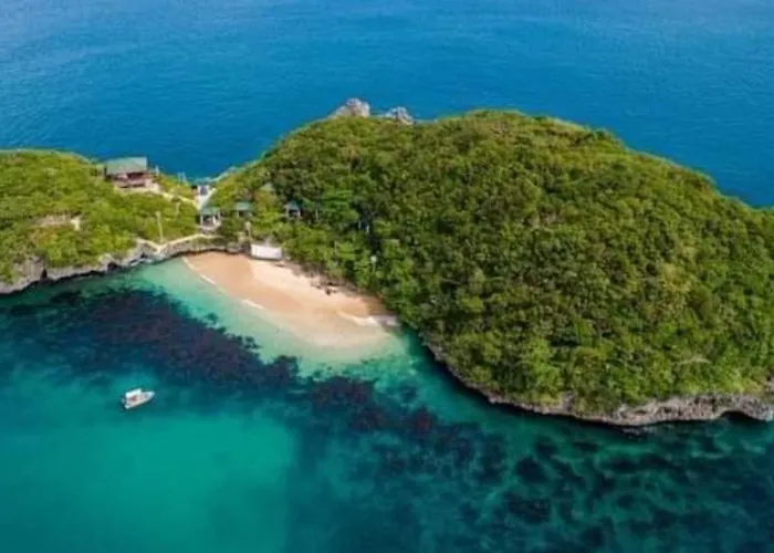 Carribean Transient House