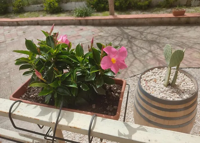 B&B Lara Santola