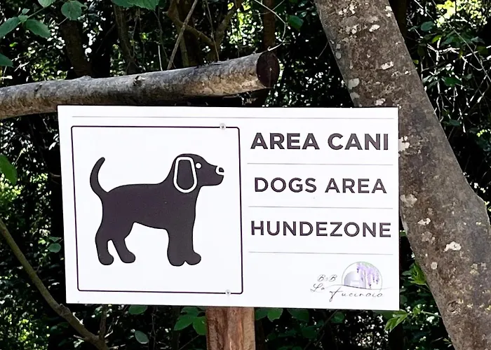 B&B La Fucinaia Pet Friendly (Adults Only)