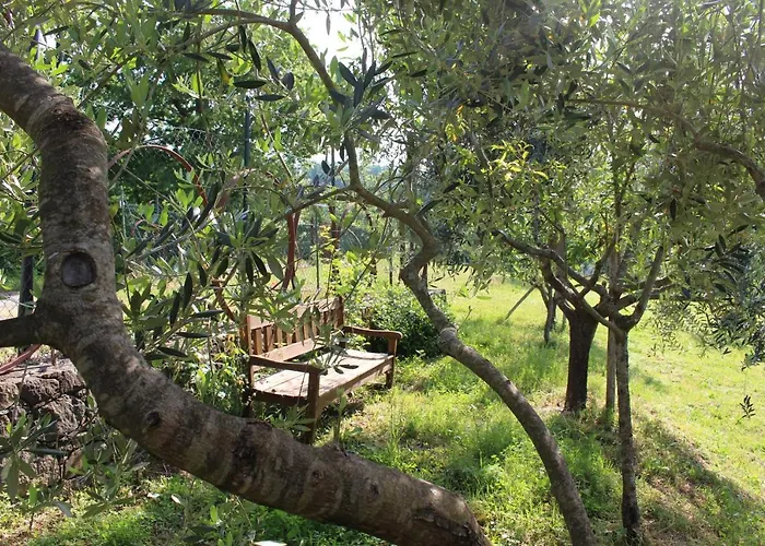 Agriturismo Angiò nel Cerè