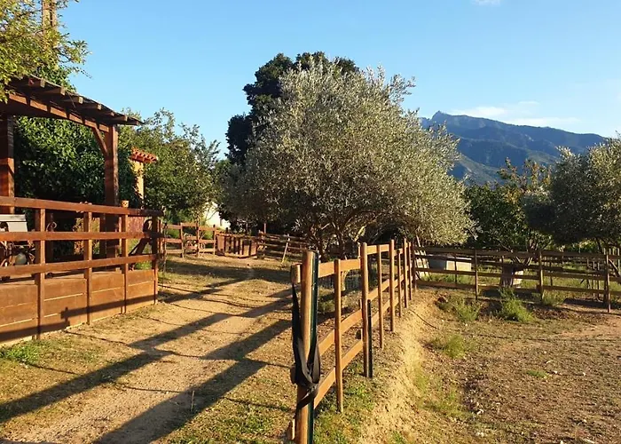 Chambre d'hôtes le petit Ranch