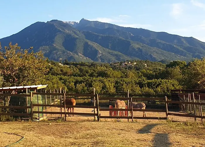 Chambre d'hôtes le petit Ranch