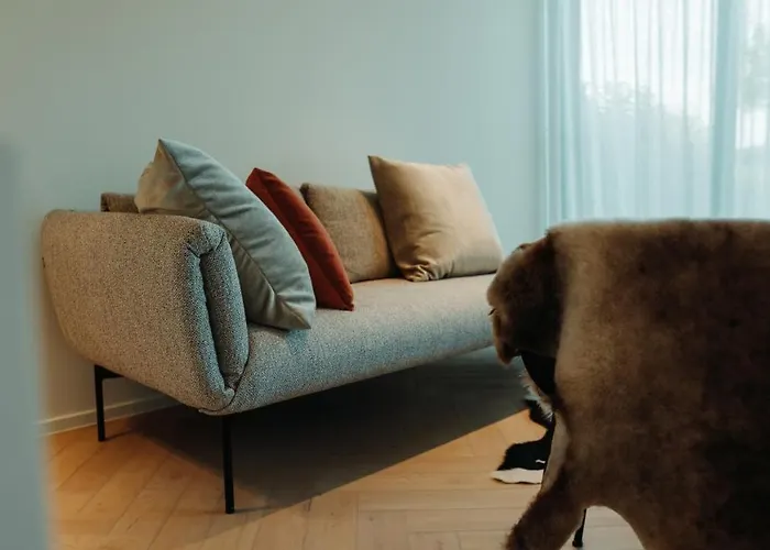 B&B De Tiendeschuur