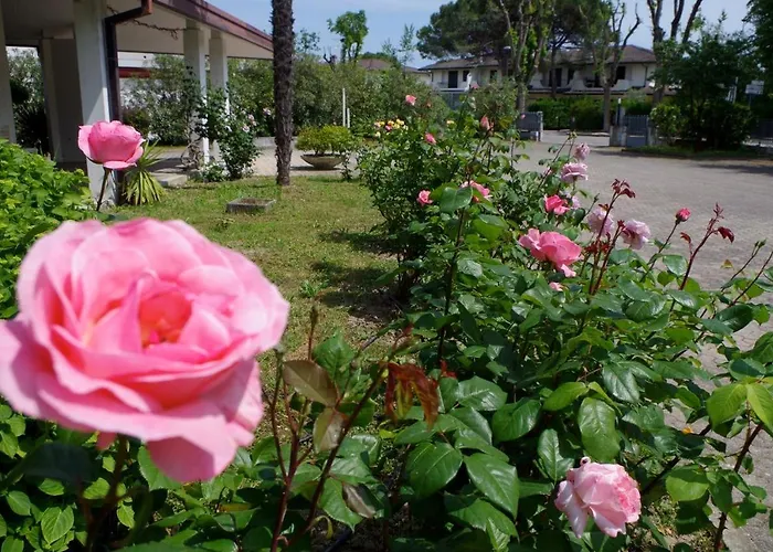 B&B Ca D'Artisti