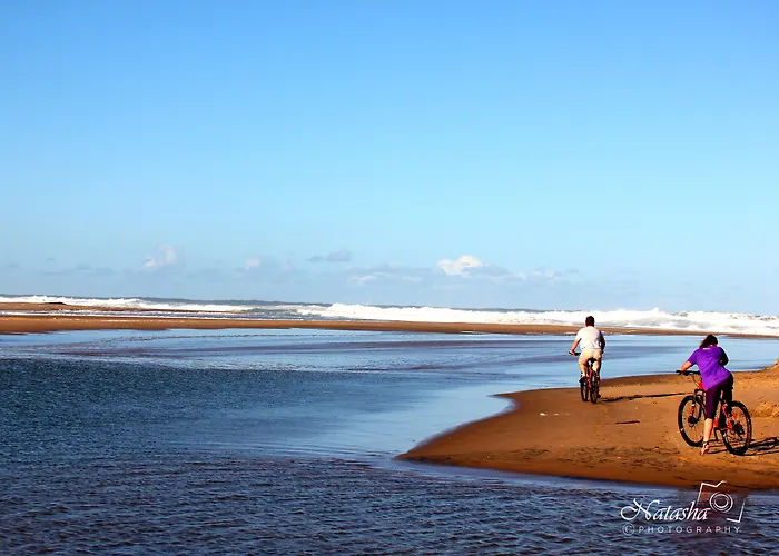 The Sandpiper