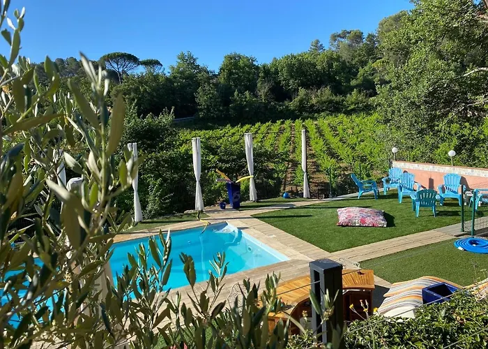 La Vie Est Belle En Provence