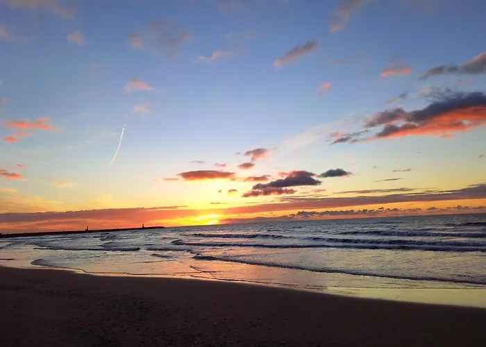 La lagune aux oiseaux