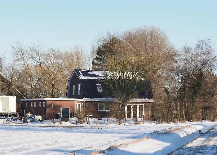 Lowlander Bnb