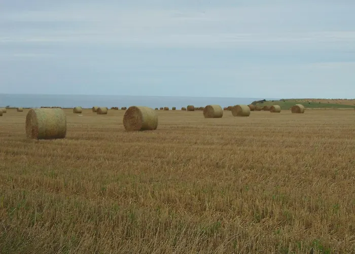 Le Grenier D'Isafil