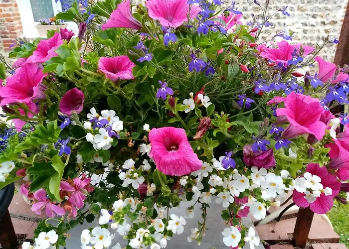 Le Grenier D'Isafil