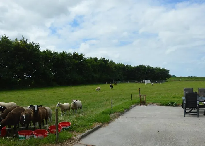 Bed & Breakfast 'Tuus Op Tessel'