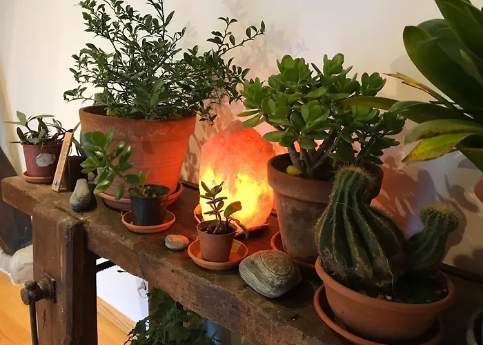 Chambre d'hôte aux Pivoines