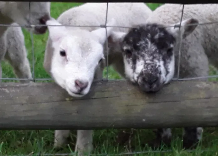Sharlands Farm Bed And Breakfast