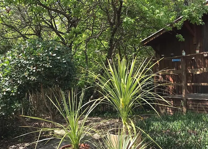Cabane ZEN OCEAN, les cabanes océanes Montalivet