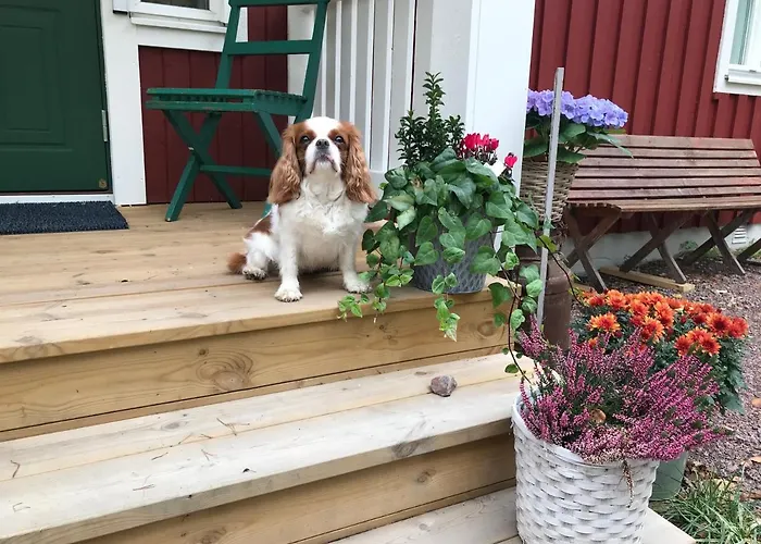 Villa Fryksta