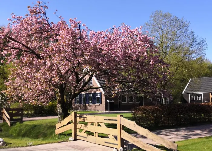 B&B Schoonhoven Suites