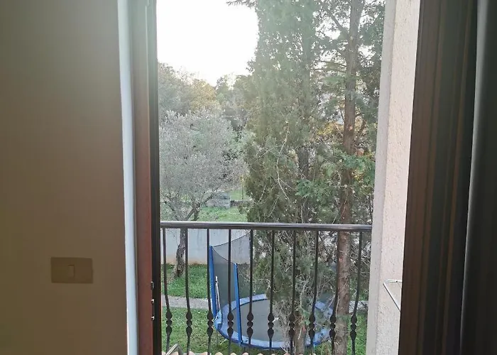 B&B Feral