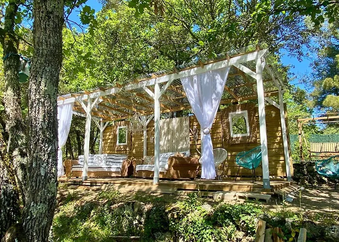 La Vie Est Belle En Provence