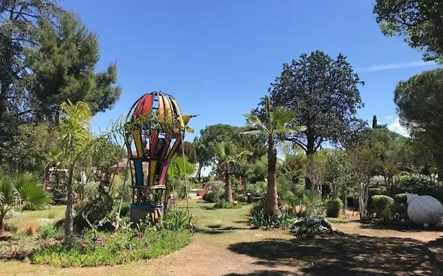 La Cactee Singuliere