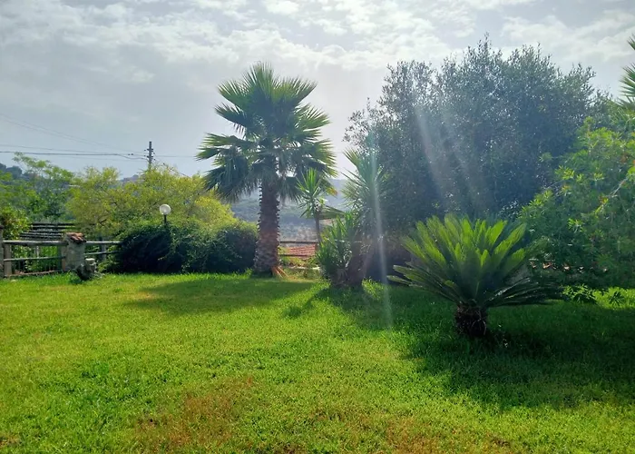 Casale 920