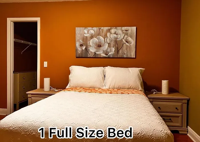 Modern Room With Shared Bathroom Alafaya