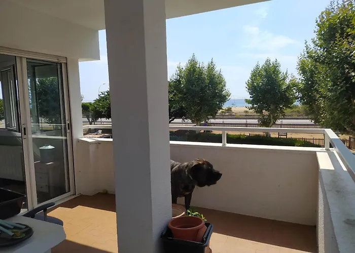 Primera línea de mar y piscina a 20 minutos de Barcelona