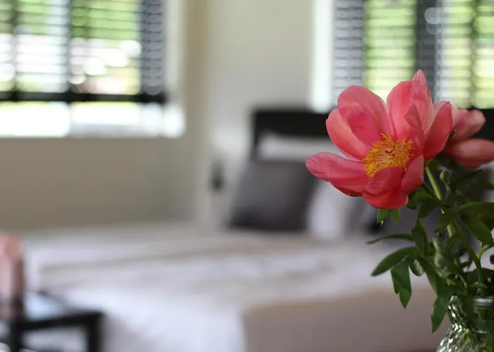 Bed&Breakfast Bij de Wilg