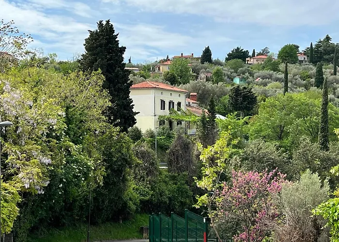 Vista Del Mar