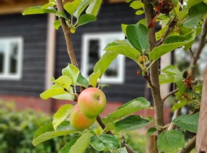 Bed&Breakfast Bij de Wilg
