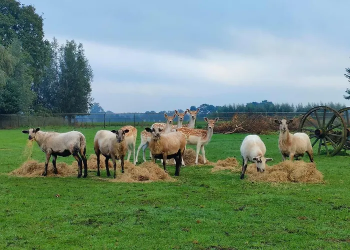 Bed&Breakfast Bij de Wilg