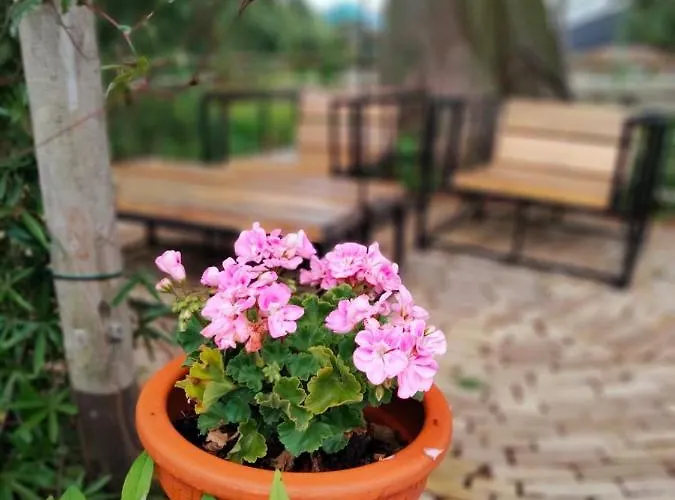 Bed&Breakfast Bij de Wilg