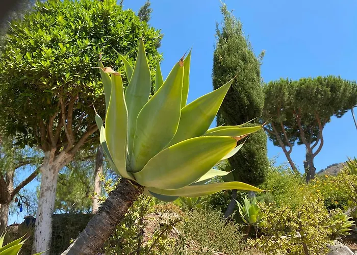 B&B Casa Oceo - Malaga - Andalusie