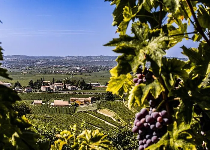 B&B Ca' Bernai