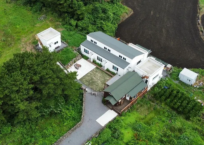 Jeju Damda