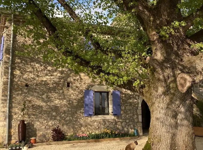 Chambre d'hôtes Bambou- A l'Ombre des Tilleuls
